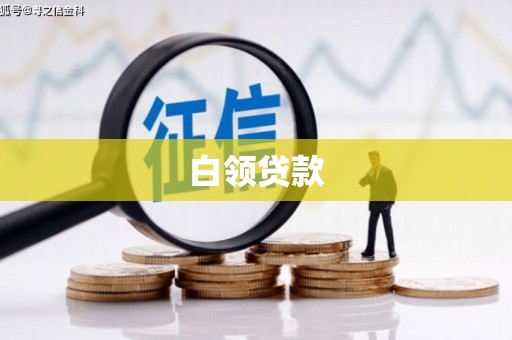 延津白领贷款
