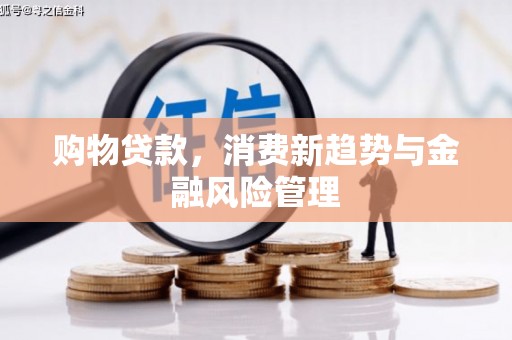 达茂旗购物贷款，消费新趋势与金融风险管理