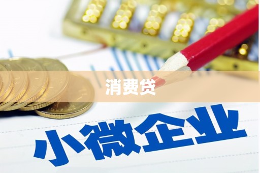 杂多消费贷