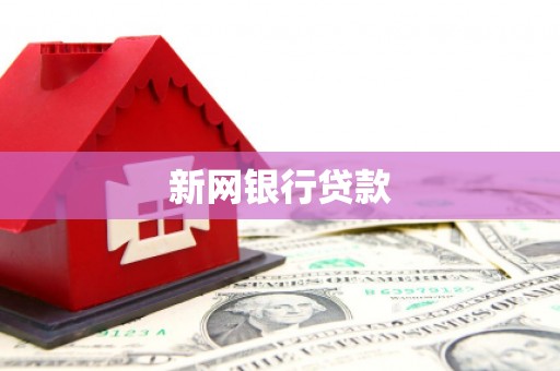 阆中新网银行贷款