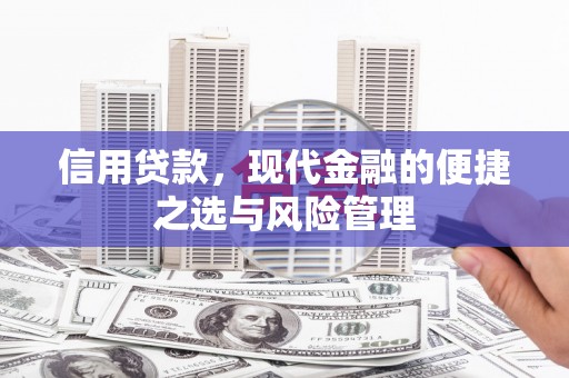 柳营信用贷款，现代金融的便捷之选与风险管理