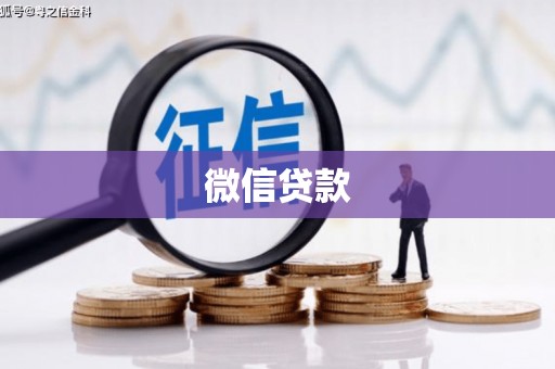 芦淞微信贷款