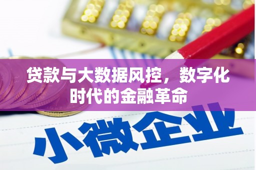 赣县贷款与大数据风控，数字化时代的金融革命