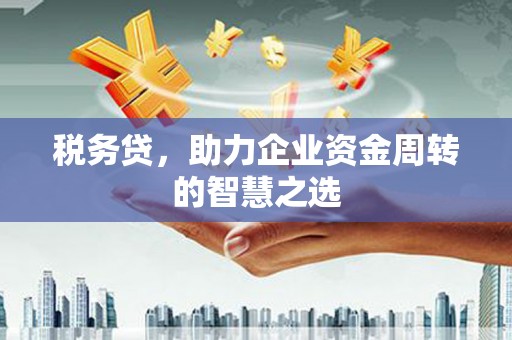 普格税务贷，助力企业资金周转的智慧之选