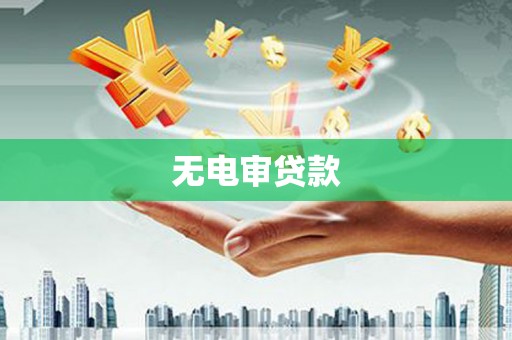 杂多无电审贷款