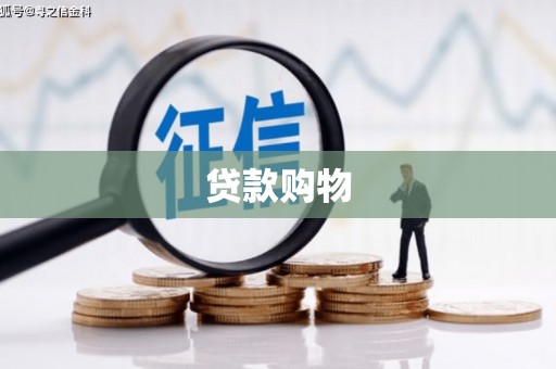 隆子贷款购物