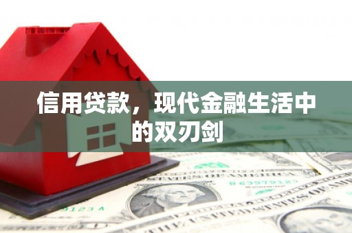 浔阳信用贷款，现代金融生活中的双刃剑