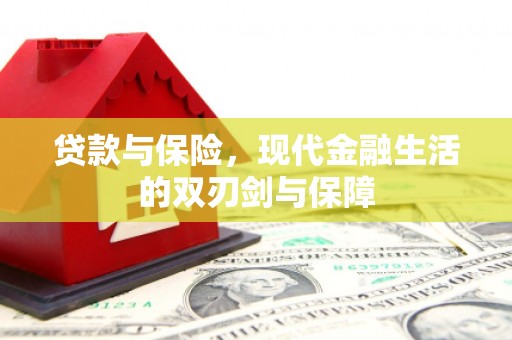 克孜勒苏柯尔克孜贷款与保险，现代金融生活的双刃剑与保障