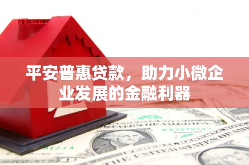 定兴平安普惠贷款，助力小微企业发展的金融利器