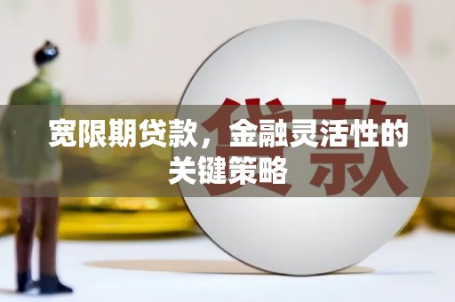 秀山宽限期贷款，金融灵活性的关键策略