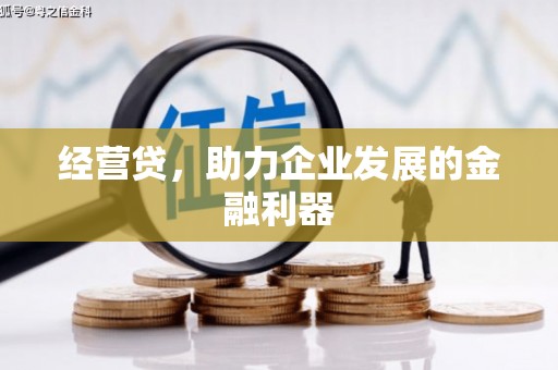 瑞穗经营贷，助力企业发展的金融利器
