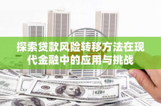 神农架探索贷款风险转移方法在现代金融中的应用与挑战