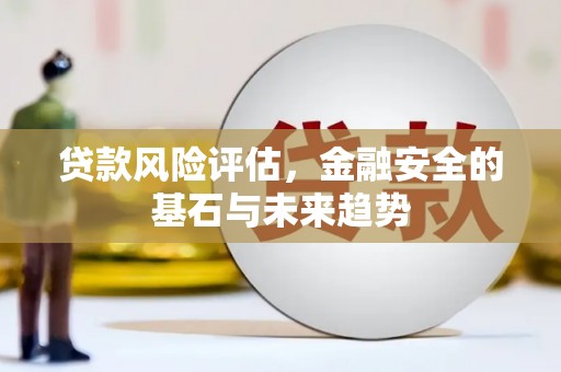 隆子贷款风险评估，金融安全的基石与未来趋势