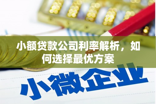 锡林浩特小额贷款公司利率解析，如何选择最优方案