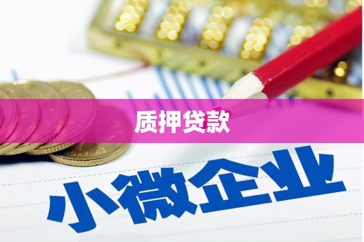 元长质押贷款
