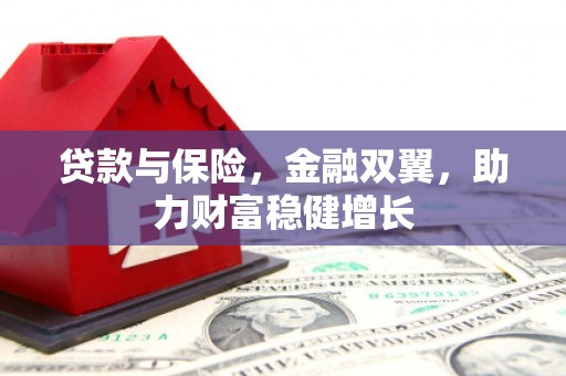 凤泉贷款与保险，金融双翼，助力财富稳健增长