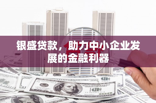 盘龙银盛贷款，助力中小企业发展的金融利器