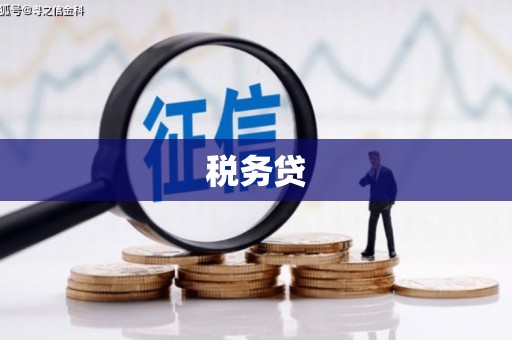 武进税务贷