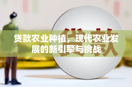 攀枝花贷款农业种植，现代农业发展的新引擎与挑战