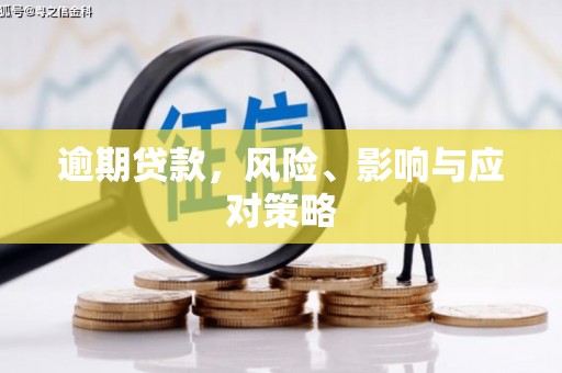 沙鹿逾期贷款，风险、影响与应对策略