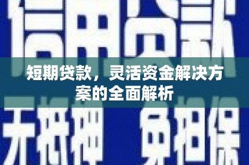 洋山短期贷款，灵活资金解决方案的全面解析