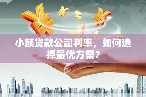 海拉尔小额贷款公司利率，如何选择最优方案？
