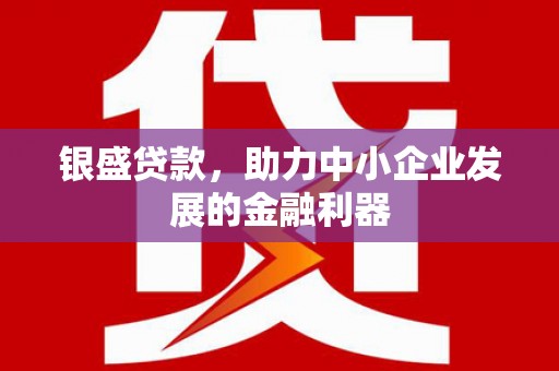 邓州银盛贷款，助力中小企业发展的金融利器