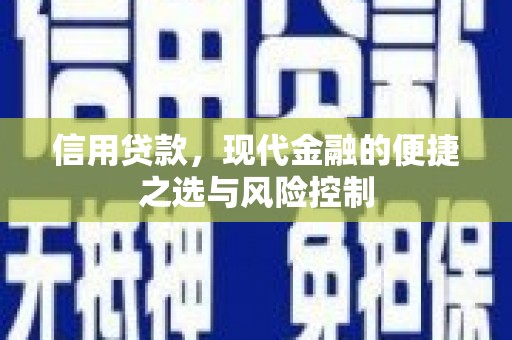 大溪信用贷款，现代金融的便捷之选与风险控制