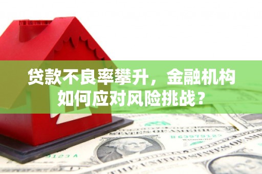 景东贷款不良率攀升，金融机构如何应对风险挑战？
