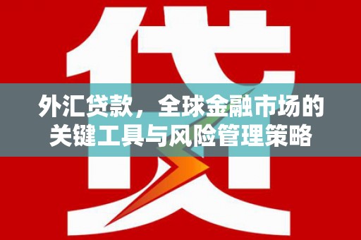 盐田外汇贷款，全球金融市场的关键工具与风险管理策略