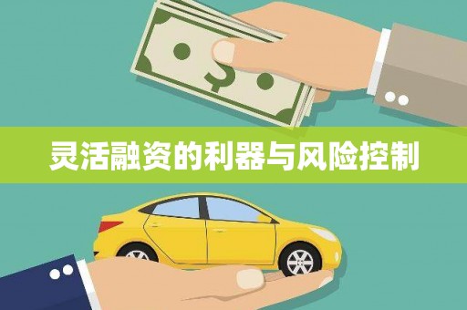 昌图灵活融资的利器与风险控制