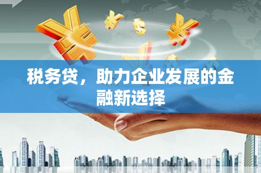 霍城税务贷，助力企业发展的金融新选择