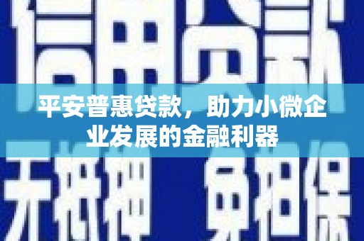 奎文平安普惠贷款，助力小微企业发展的金融利器