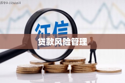 怀远贷款风险管理