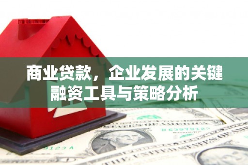叶县商业贷款，企业发展的关键融资工具与策略分析