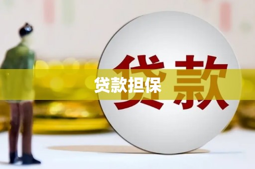 来宾贷款担保