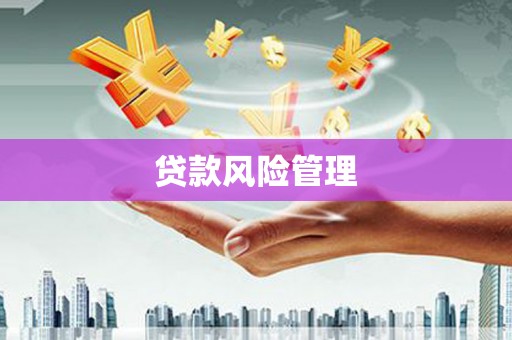 七星贷款风险管理
