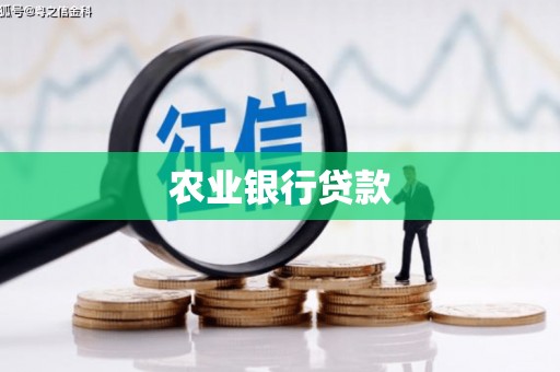 杂多农业银行贷款