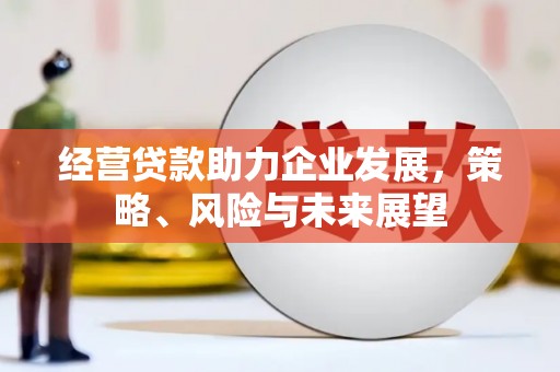 项城经营贷款助力企业发展，策略、风险与未来展望