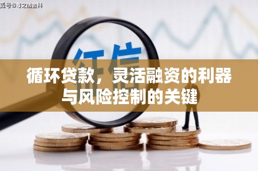 新田循环贷款，灵活融资的利器与风险控制的关键