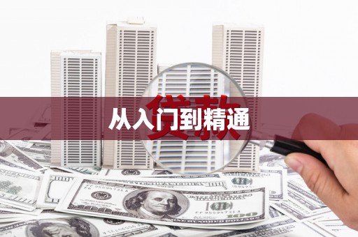 洛宁从入门到精通