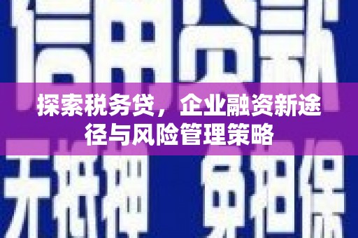 安次探索税务贷，企业融资新途径与风险管理策略
