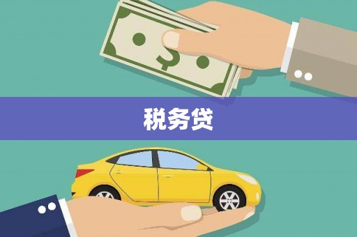 景县税务贷