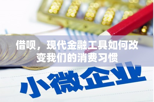 彭泽借呗，现代金融工具如何改变我们的消费习惯