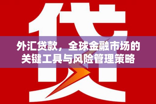 西林外汇贷款，全球金融市场的关键工具与风险管理策略