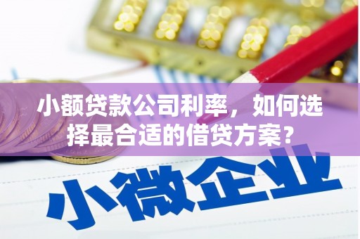 宝清小额贷款公司利率，如何选择最合适的借贷方案？