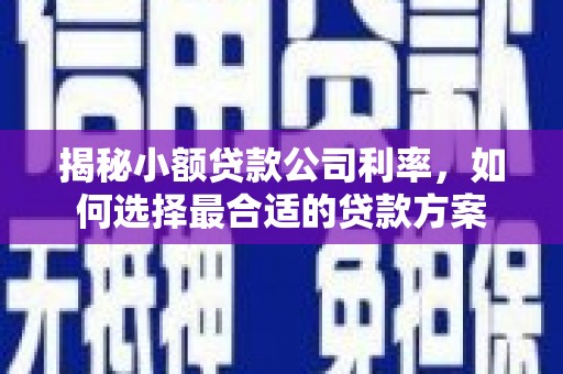葵青揭秘小额贷款公司利率，如何选择最合适的贷款方案