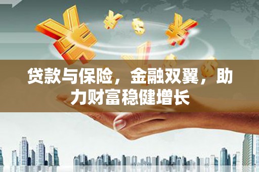 石龙贷款与保险，金融双翼，助力财富稳健增长