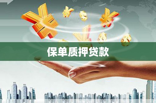 禹城保单质押贷款