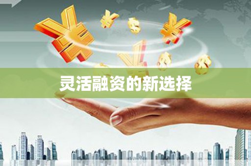 碑林灵活融资的新选择